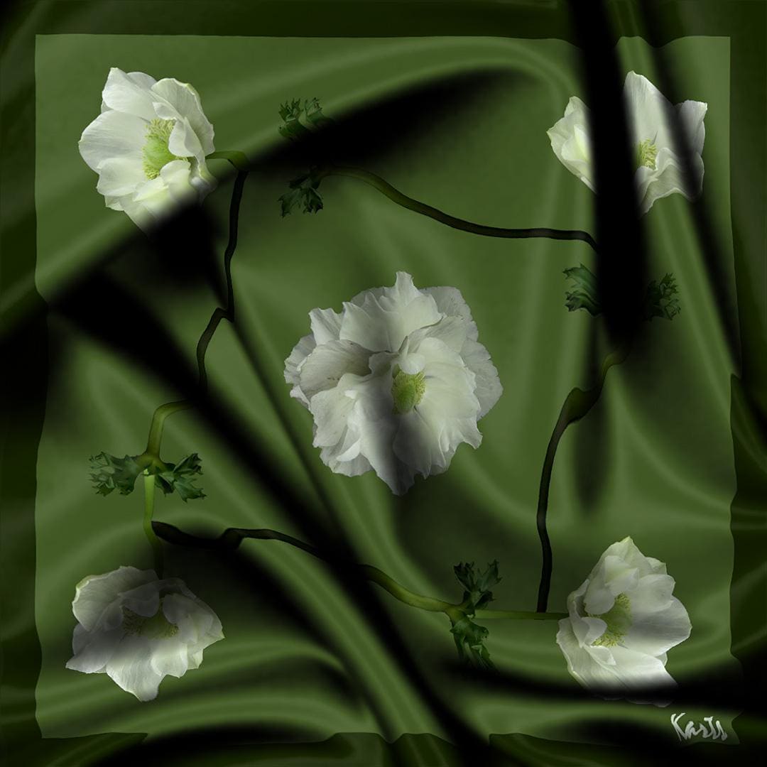 Flora 1